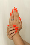 Muse - Gel Polish